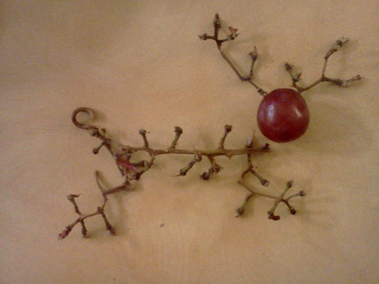 Grape stems as enrichment